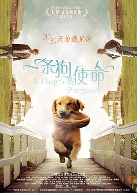 2025年春节档,徐克执导的《射雕英雄传:侠之大者》试图打破瓶颈,无奈口碑未达预期,最终难以突围。