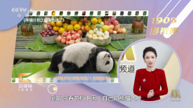 例如，有观众指出片中外星铁血战士的行为和动机令人困惑，人类角色也缺乏深度，导致影片缺乏情感共鸣。